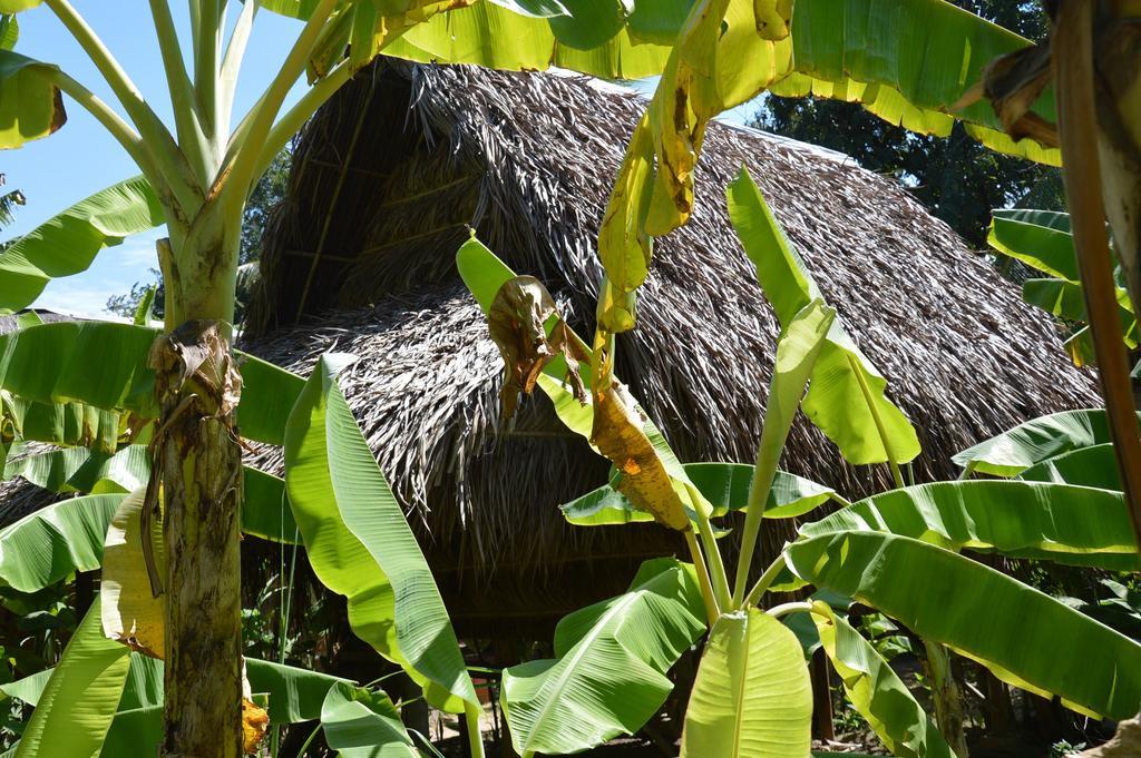 كامبوت Samon Village المظهر الخارجي الصورة