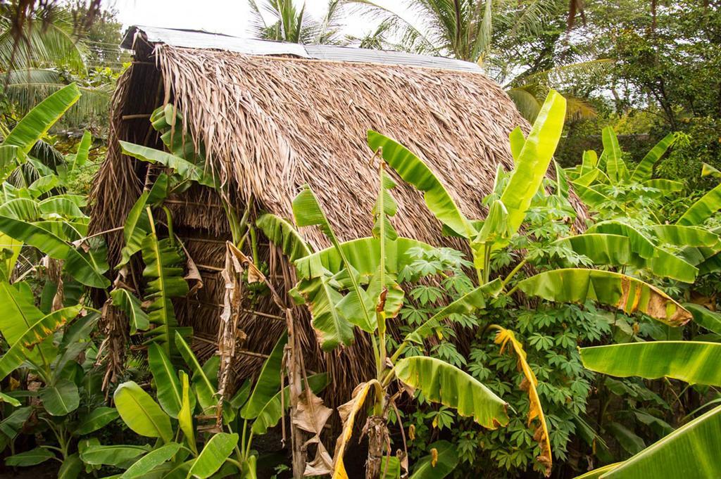 كامبوت Samon Village المظهر الخارجي الصورة